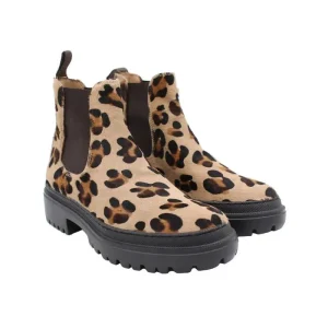 802 Leopard