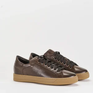 Chill Brown