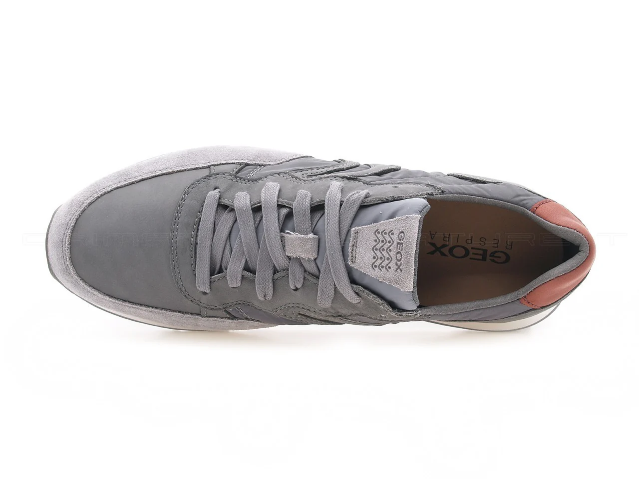 Geox uomo Vincit sneakers grigie - immagine 3