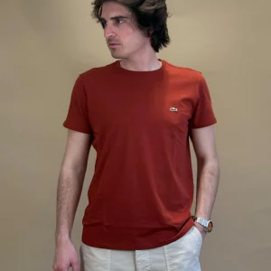 T-shirt in Cotone
