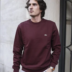 Felpa Girocollo