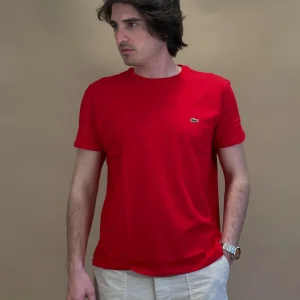 T-shirt in Cotone