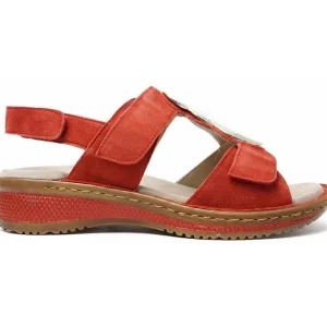 Ara Hawaii Sandali Comfort 3 Strappi Zeppa Tomaia Camoscio