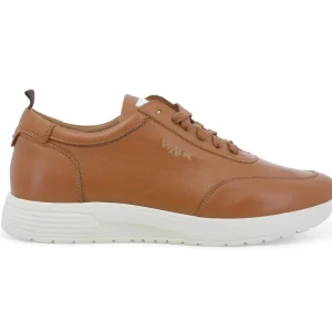 Melluso Scarpe Uomo Casual e Sportive Tomaia in Pelle